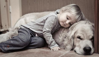 Доказано: животные могут любить как люди